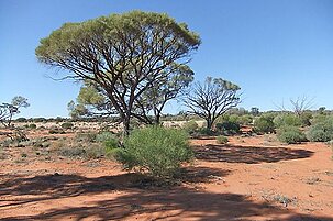 44894_8.jpg