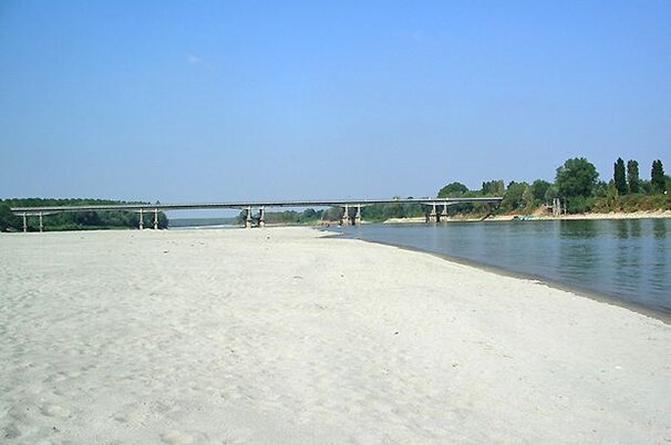 49700_8.jpg