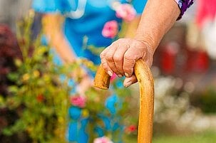 68366_8.jpg
