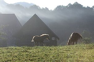 75762_8.jpg