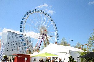 54939_8.jpg