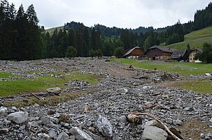 41983_8.jpg