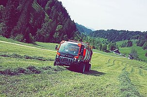 73037_8.jpg