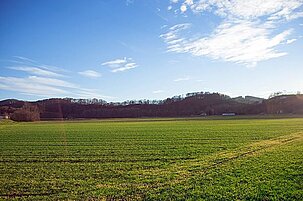 63613_8.jpg