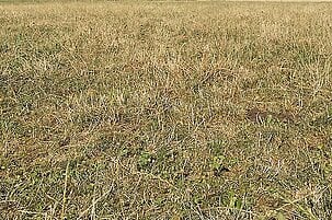 49710_8.jpg