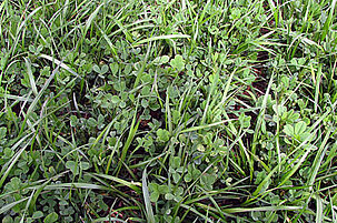 29044_8.jpg