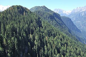 45923_8.jpg