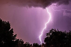 65275_8.jpg
