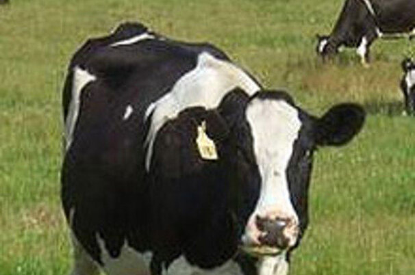 7383_8.jpg