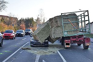 79940_8.jpg