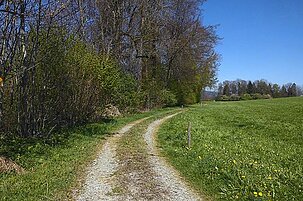 63819_8.jpg