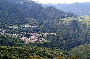81005_8.jpg
