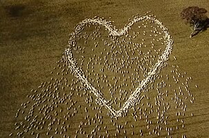 17690792-7775-3b69-c8d0-da73213385e9-52072.jpeg