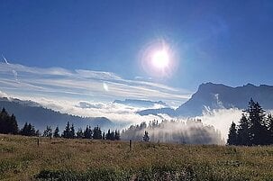 73796_8.jpg