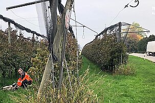85484_8.jpg