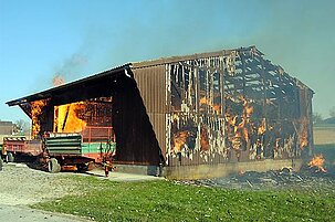 90512_8.jpg
