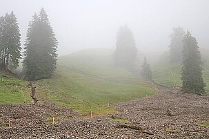 42132_8.jpg