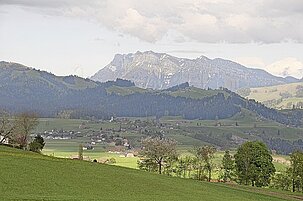 e1113fa9-4b32-502e-7943-4b2629aa175a-41784.jpeg