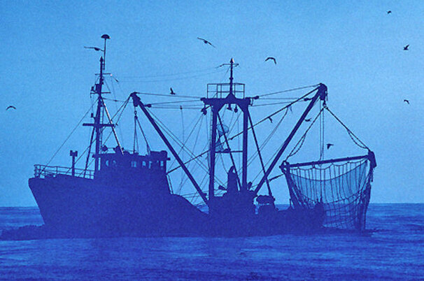 7657_8.jpg