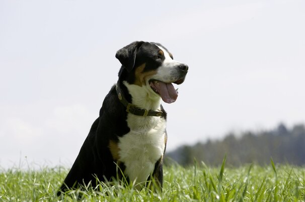 3bf54006-5d29-864b-1ca1-5dc06e4d84dc-67324-scaled.jpeg