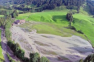 41925_8.jpg