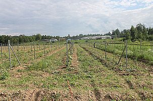 57053_8.jpg