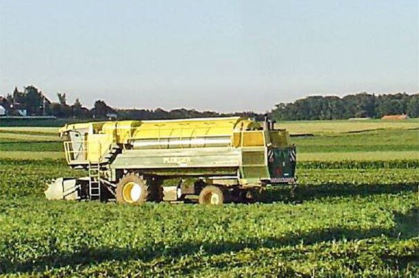 64607_8.jpg