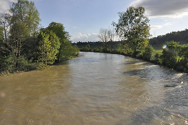 48596_8.jpg