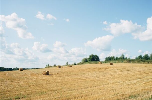 57251_8.jpg