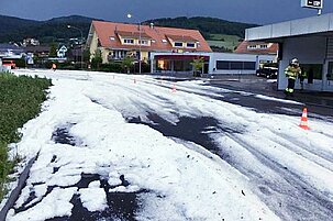 73018_8.jpg