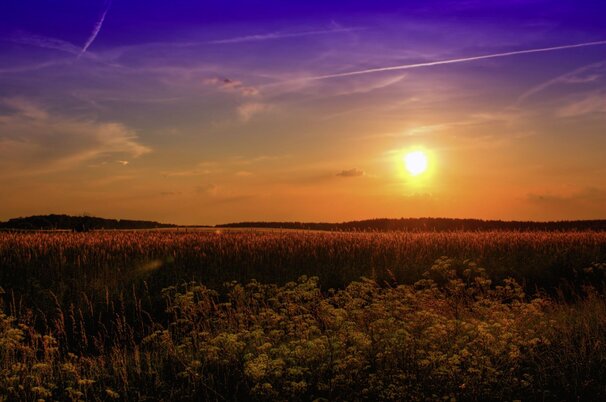 f2ff96e8-ddd2-55be-97b1-dd8d63cc148d-103940.jpeg