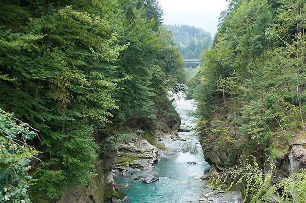 37934_8.jpg