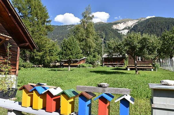 84459_8.jpg