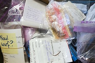 88097_8.jpg