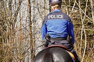 90662_8.jpg