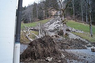 47378_8.jpg