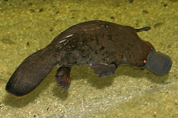 5108_8.jpg