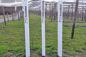 71909_8.jpg