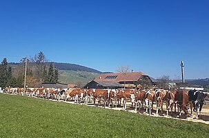 80744_8.jpg