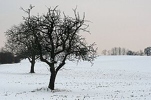 52744_8.jpg