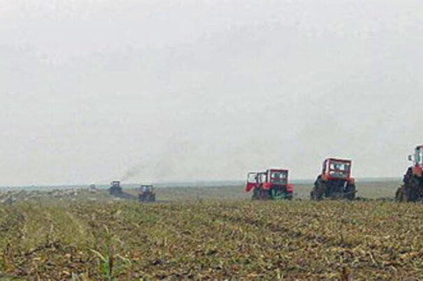 8970_8.jpg