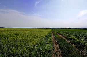 de167b89-109e-b61d-5eed-3033c7618049-82736.jpeg