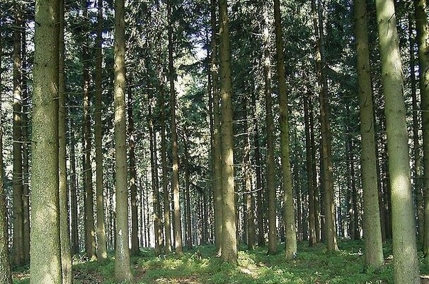 35614_8.jpg