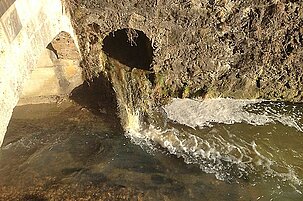 46352_8.jpg