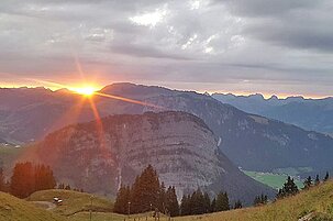 49922_8.jpg