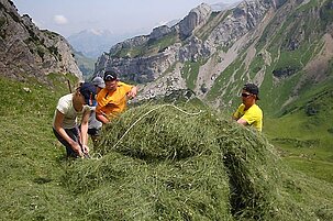 53568_8.jpg