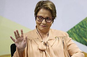 78827_8.jpg
