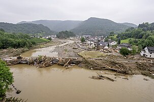 b3938d52-249e-b3a5-f343-6e01a3a18471-45753.jpeg
