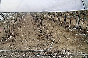 53307_8.jpg