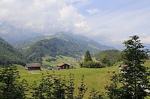 64505_8.jpg